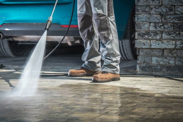 Best Pre-Holiday Cleaning  in Siesta Acres, TX