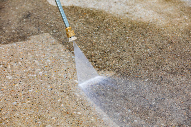 Best Building Exterior Washing  in Siesta Acres, TX